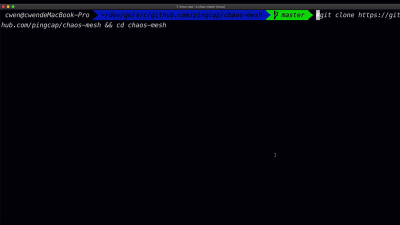 The whole process of the chaos experiment